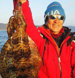 シースナイパー海龍 釣果