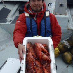 フィッシング キッタカ 釣果