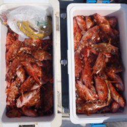 フィッシング　キッタカ 釣果