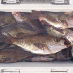 フィッシング　キッタカ 釣果