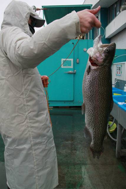 としまえんフィッシングエリア 釣果