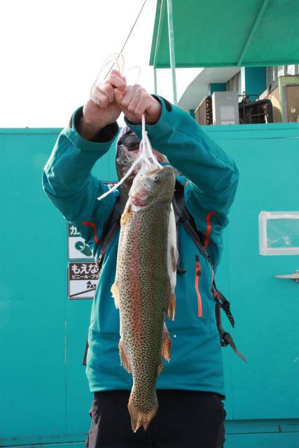 としまえんフィッシングエリア 釣果