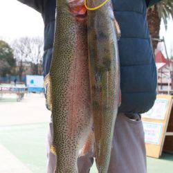 としまえんフィッシングエリア 釣果