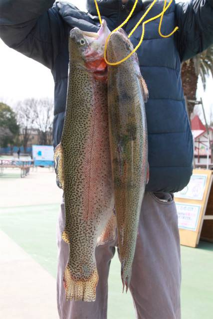 としまえんフィッシングエリア 釣果