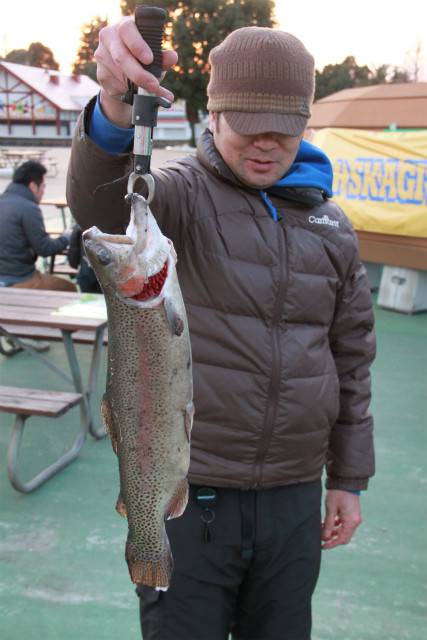としまえんフィッシングエリア 釣果