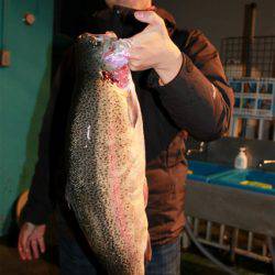 としまえんフィッシングエリア 釣果