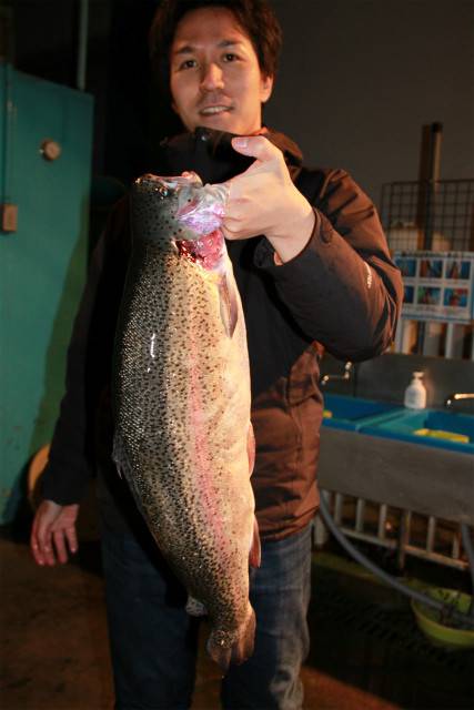 としまえんフィッシングエリア 釣果