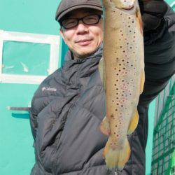 としまえんフィッシングエリア 釣果