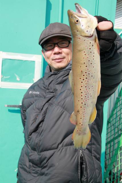 としまえんフィッシングエリア 釣果