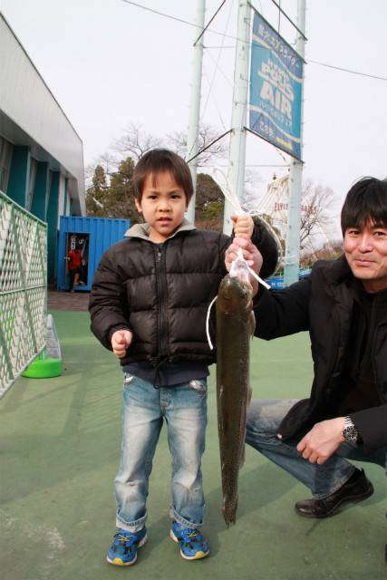 としまえんフィッシングエリア 釣果