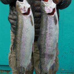 としまえんフィッシングエリア 釣果