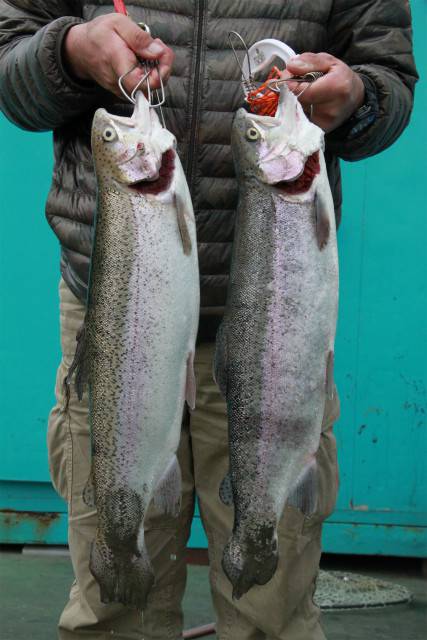 としまえんフィッシングエリア 釣果