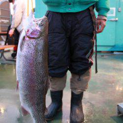 としまえんフィッシングエリア 釣果