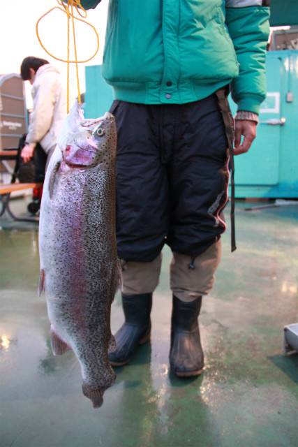 としまえんフィッシングエリア 釣果