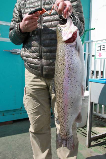 としまえんフィッシングエリア 釣果