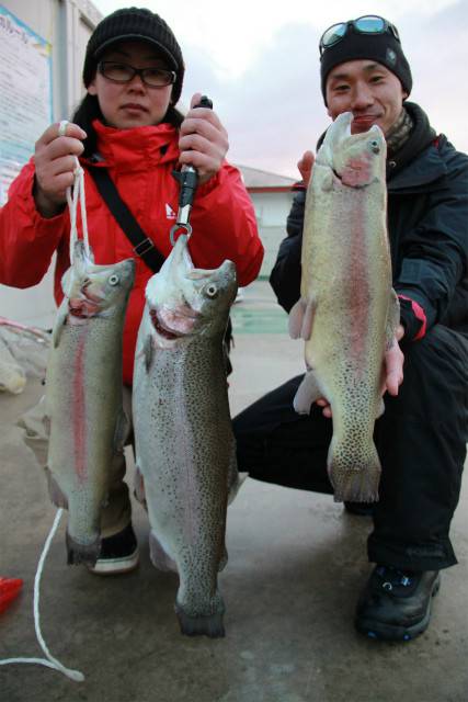としまえんフィッシングエリア 釣果