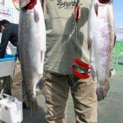 としまえんフィッシングエリア 釣果