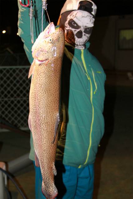 としまえんフィッシングエリア 釣果