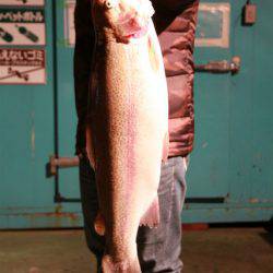 としまえんフィッシングエリア 釣果