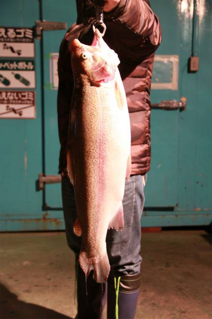 としまえんフィッシングエリア 釣果