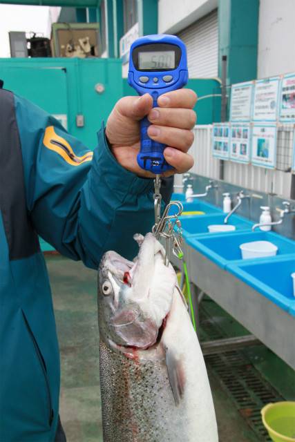としまえんフィッシングエリア 釣果