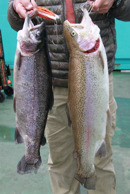 としまえんフィッシングエリア 釣果