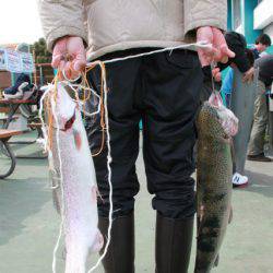 としまえんフィッシングエリア 釣果