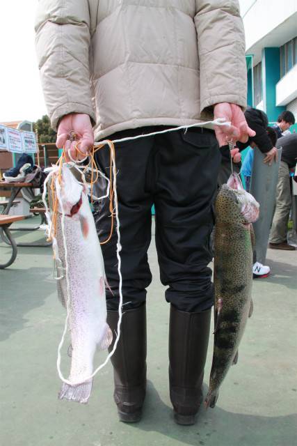 としまえんフィッシングエリア 釣果