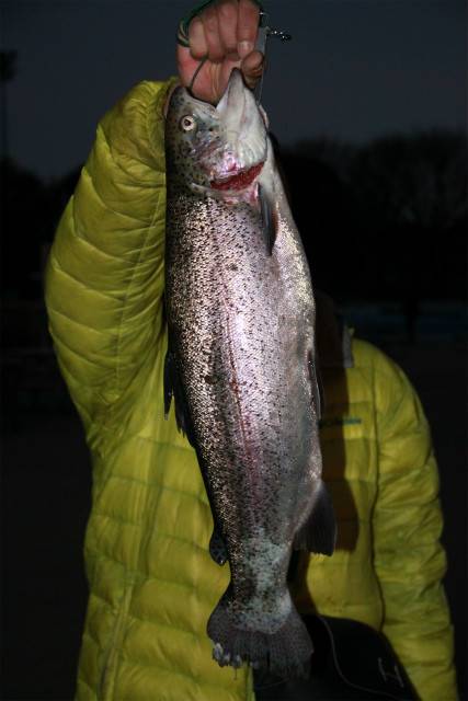 としまえんフィッシングエリア 釣果