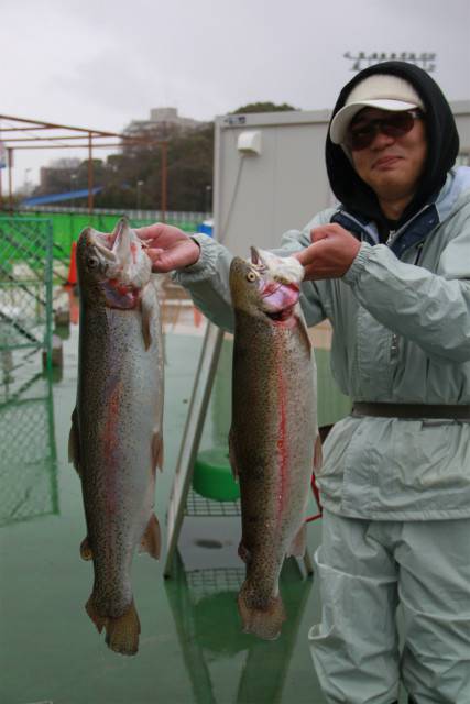 としまえんフィッシングエリア 釣果