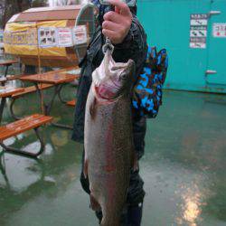 としまえんフィッシングエリア 釣果