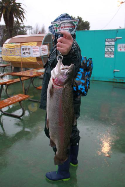 としまえんフィッシングエリア 釣果