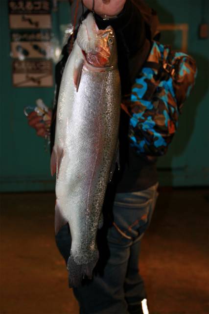 としまえんフィッシングエリア 釣果