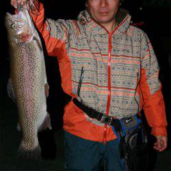 としまえんフィッシングエリア 釣果