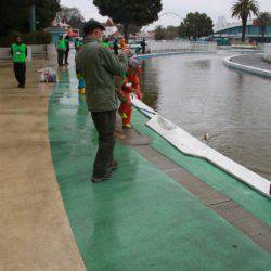 としまえんフィッシングエリア 釣果