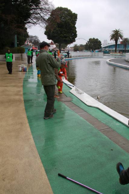 としまえんフィッシングエリア 釣果