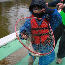 としまえんフィッシングエリア 釣果