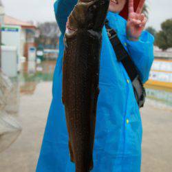 としまえんフィッシングエリア 釣果