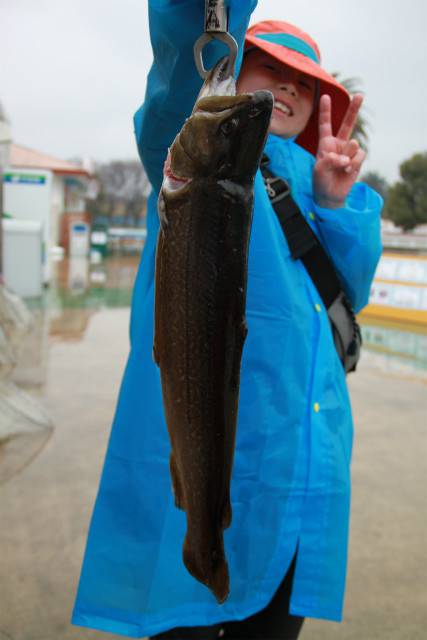 としまえんフィッシングエリア 釣果
