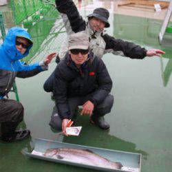 としまえんフィッシングエリア 釣果