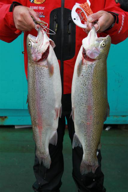 としまえんフィッシングエリア 釣果