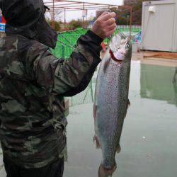としまえんフィッシングエリア 釣果