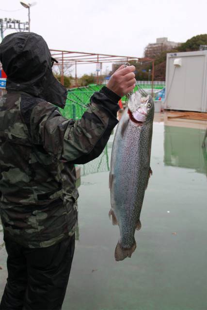 としまえんフィッシングエリア 釣果