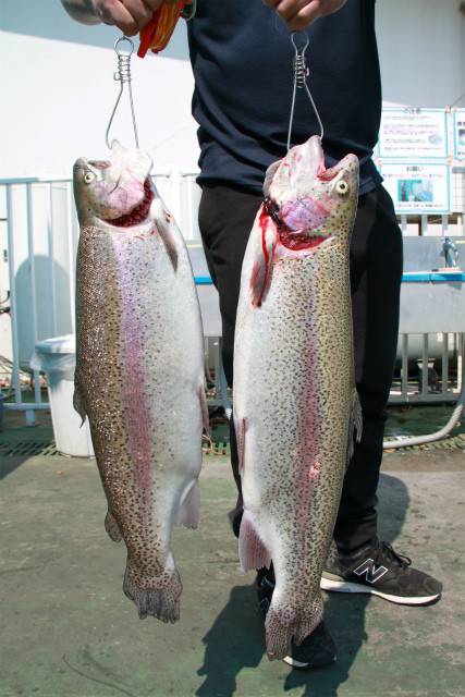 としまえんフィッシングエリア 釣果