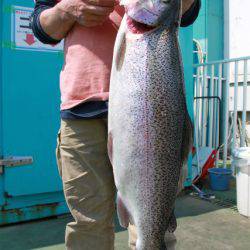 としまえんフィッシングエリア 釣果