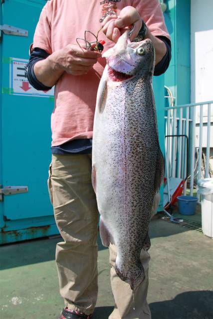 としまえんフィッシングエリア 釣果