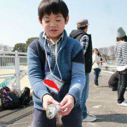 としまえんフィッシングエリア 釣果