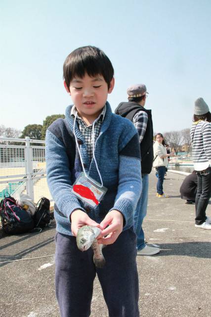 としまえんフィッシングエリア 釣果