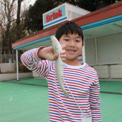 としまえんフィッシングエリア 釣果