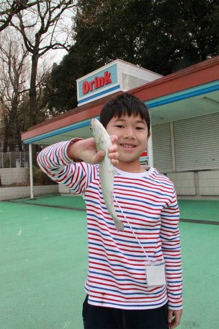 としまえんフィッシングエリア 釣果